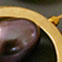 Gold ellipses, Tahitian black pearls, 18k gold